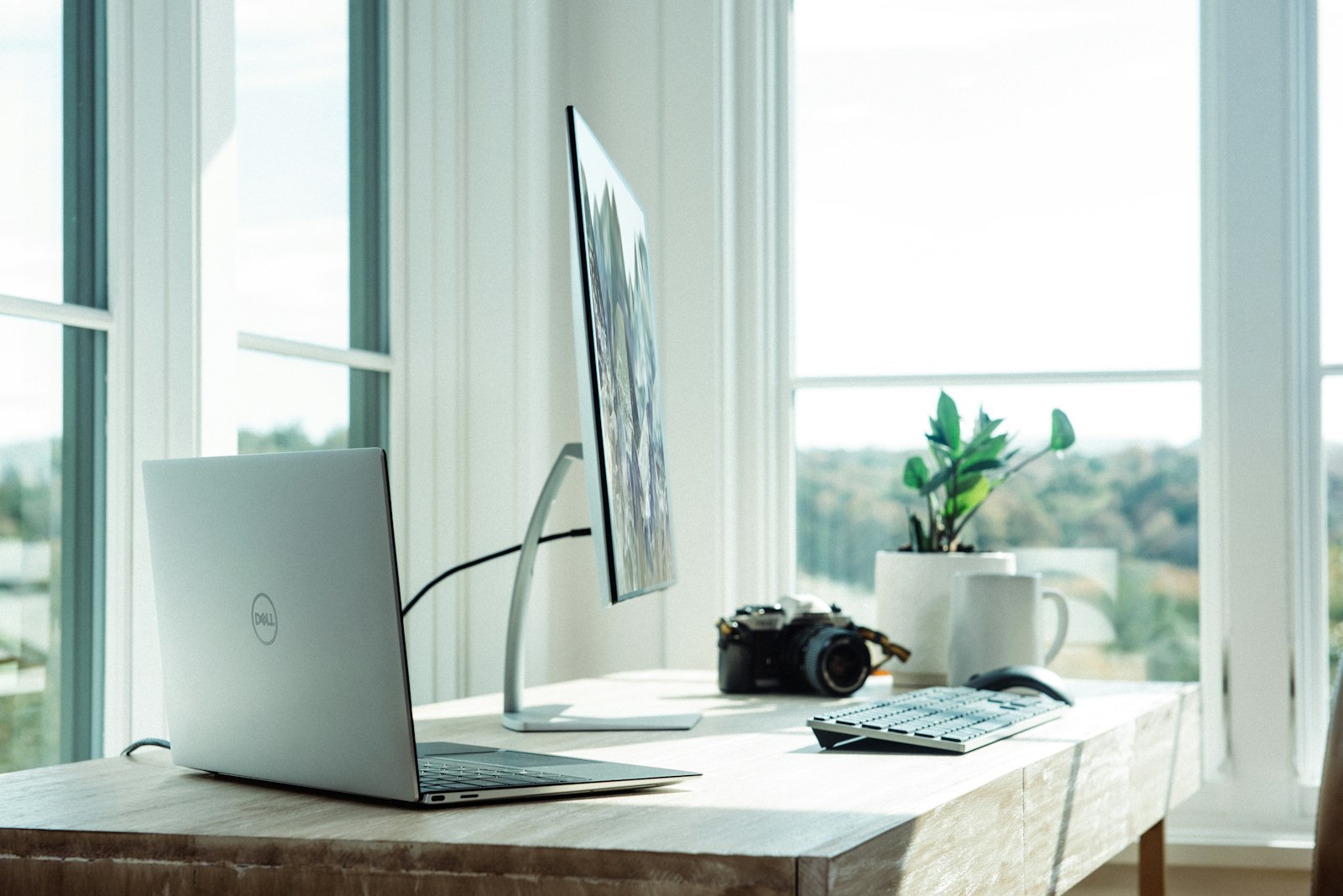 Employee using AI assistant on laptop in modern office